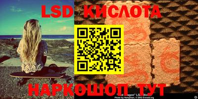 прущие грибы Партизанск